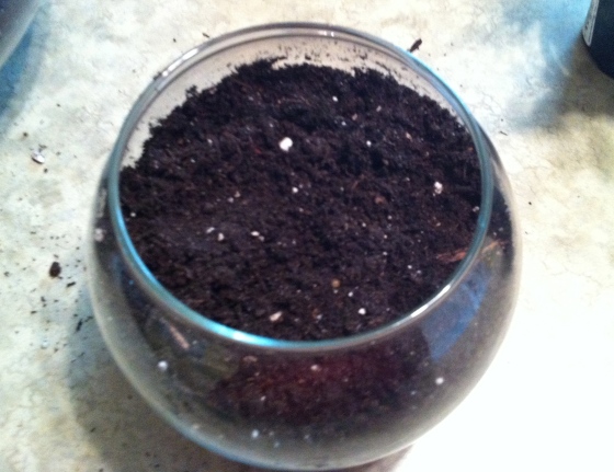 Small bowl dirt layer